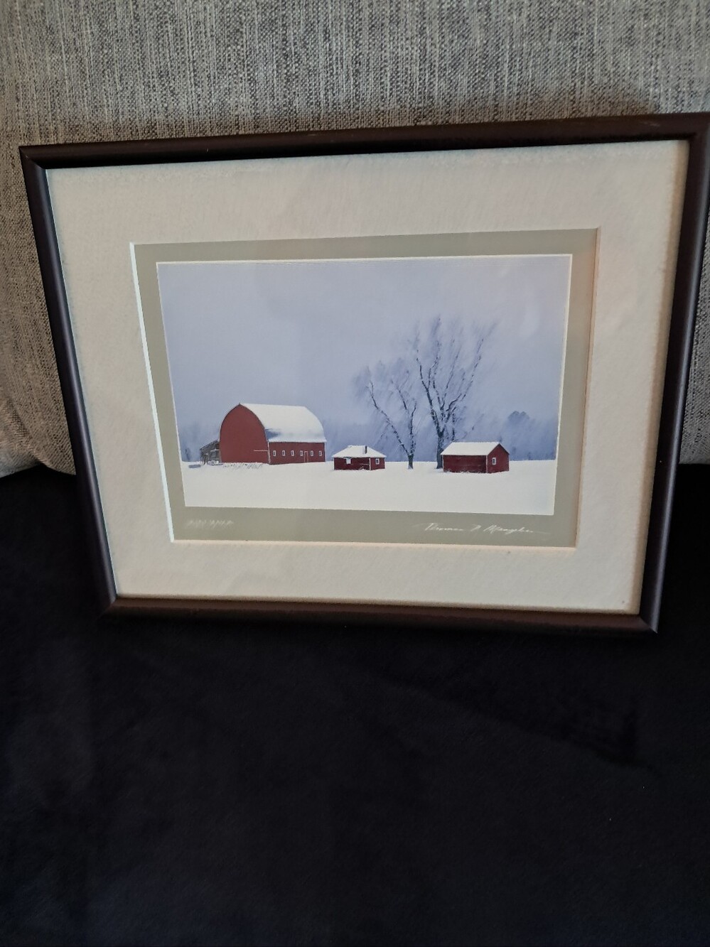 Thomas Mangelsen Silent Season Black Metal Framed In Glass Print. Minnesota Farm